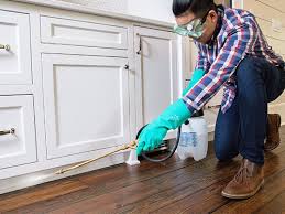 Best Residential Pest Control  in Martinez, GA