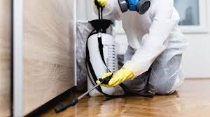 Best Emergency Pest Control  in Martinez, GA